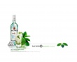 Bacardi 1 Wallpaer