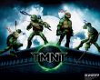 Green Ninja Turtles Wallpaer