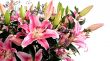 Nice flower bouquet Wallpaer
