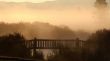 Bridge in mist Wallpaer
