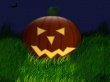 Pumpkin in grass Wallpaer