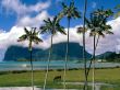 lord howe island Wallpaer