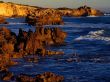 Boozy Gully coastline Wallpaer