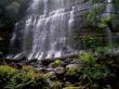 Russel Falls Wallpaer