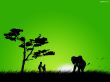 Elephant silhouette Wallpaer