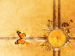 Orange and butterfly Wallpaer