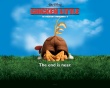 Chicken little Wallpaer