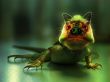 Photoshopped lizzard Wallpaer