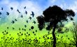 Birds over grass Wallpaer