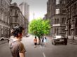 Amazing tree Wallpaer