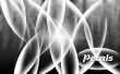 Petals Wallpaer