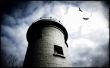 Tower and crows Wallpaer