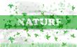 Nature Wallpaer