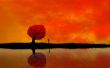 Isolated man Wallpaer