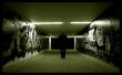 The underground Wallpaer