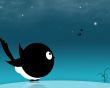 Cute round bird Wallpaer