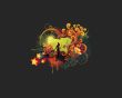 Colorful vectors Wallpaer
