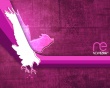 Eagle strike Wallpaer