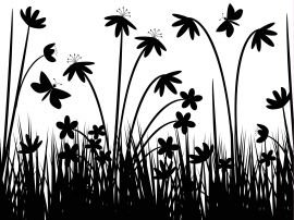 Greyscale flowers Wallpaper
