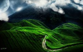 Green contrast hills Wallpaper