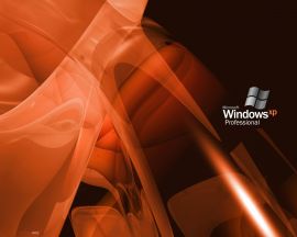Orange XP vectors Wallpaper