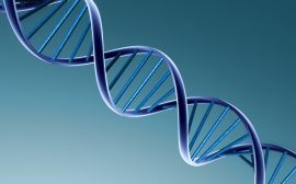 .| Dna |. Wallpaper