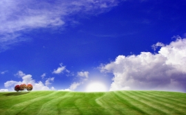 Nice Scenery Wallpaper