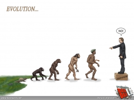 Evolution Wallpaper