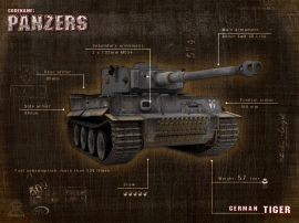 German Tiger Wallpaper