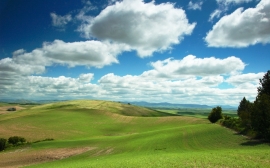 A Beautiful and True Landscape Wallpaper