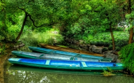 Dragon Boats Wallpaper