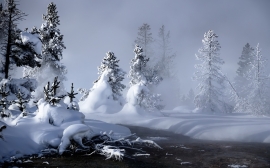 Mystic Winter Wallpaper