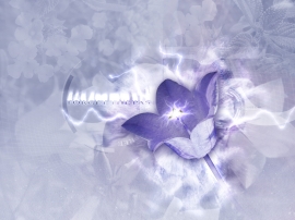 Forget The Past Wallpaper