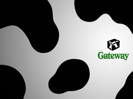 Gateway Cow Wallpaper