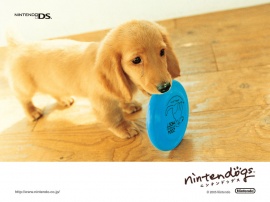 Ninten dog blue Wallpaper