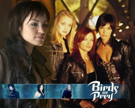 Birds of prey Wallpaper
