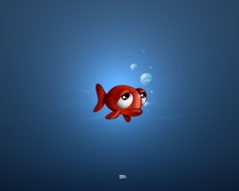 Sad fish Wallpaper