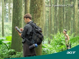 Acer in forest Wallpaper