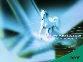 Acer horse Wallpaper