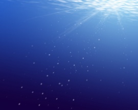 Sea bubbles Wallpaper