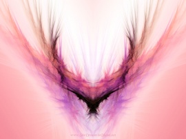 Pink fractals Wallpaper