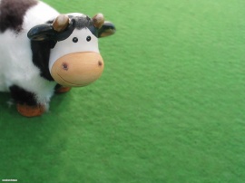 Cute cow Wallpaper