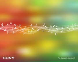 Colors and sound Wallpaper