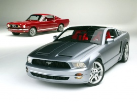 Mustangs Wallpaper