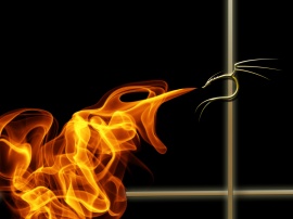 Go Away! Wallpaper