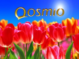 Qosmio Feeling Wallpaper