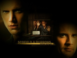 Scofield and Burrows Wallpaper