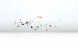 Ideas Wallpaper