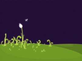 Flowers attraction Wallpaper