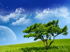 Serenity Wallpaper